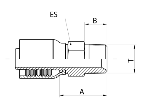 LINE_BTM1 T