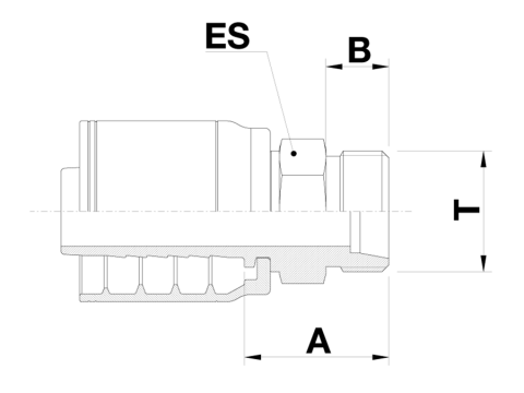 LINE_DLM1 T