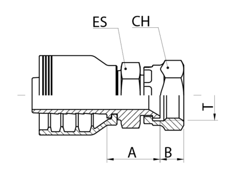 LINE_JBF1 T