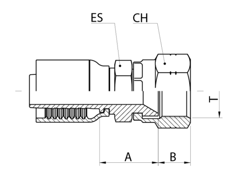 LINE_JMF1 T