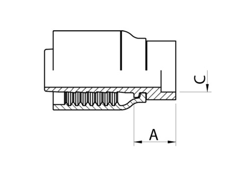 LINE_WO1 T